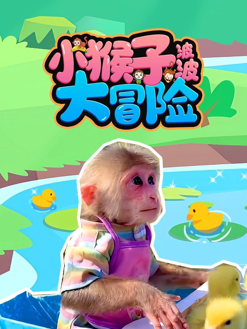 小猴子波波大冒险