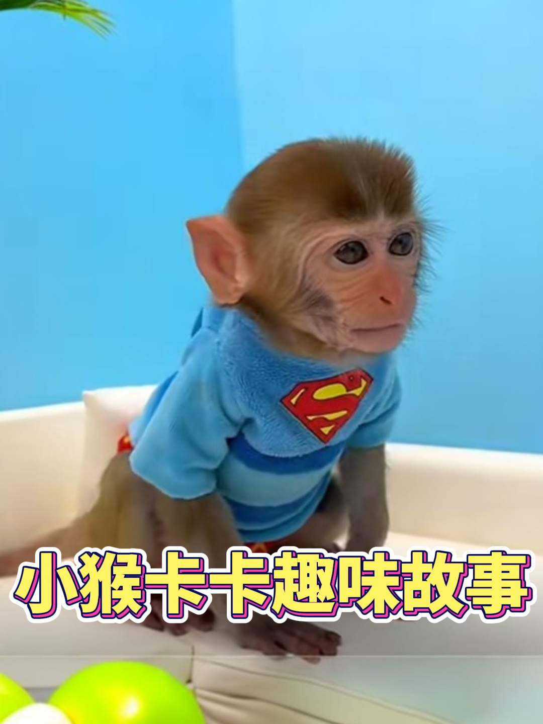 小猴卡卡趣味故事