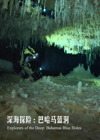 深海探险巴哈马蓝洞
