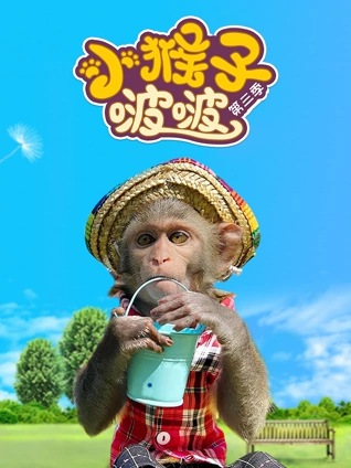 小猴子啵啵3