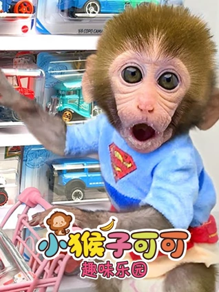 小猴子可可趣味乐园