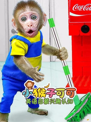 小猴子可可启蒙兴趣认知